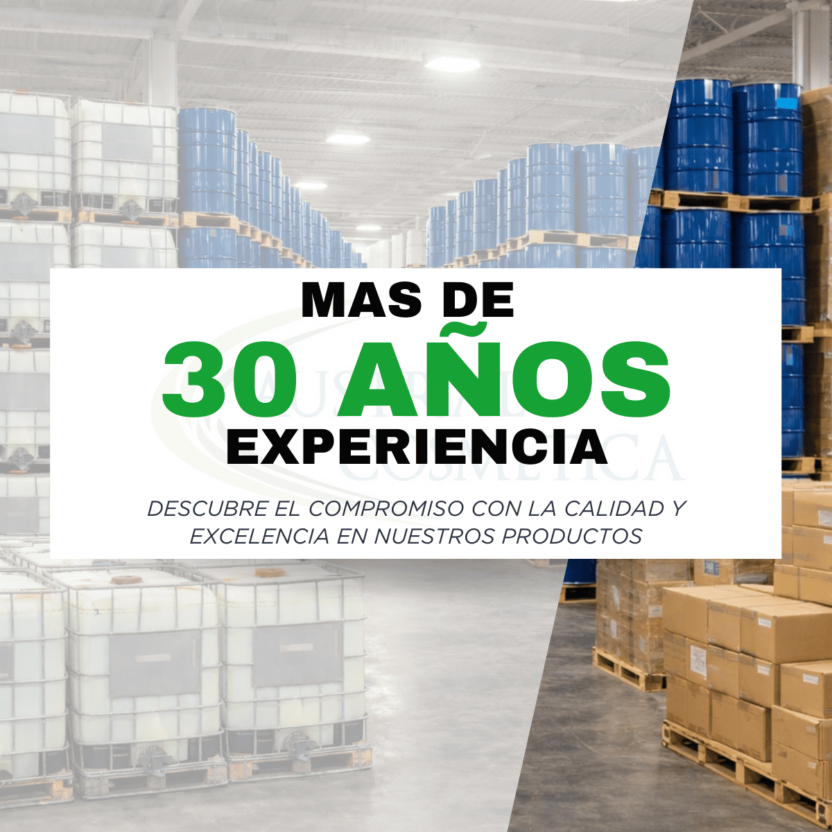 Austra Cosmetica-Caracteristicas-Experiencia-V